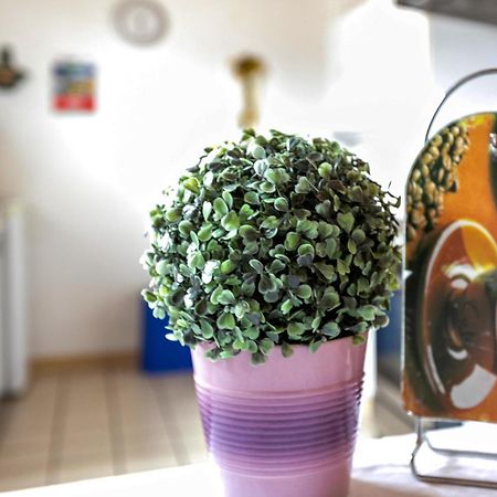 Haus Anita - Ferienwohnung Eg Busum Luaran gambar